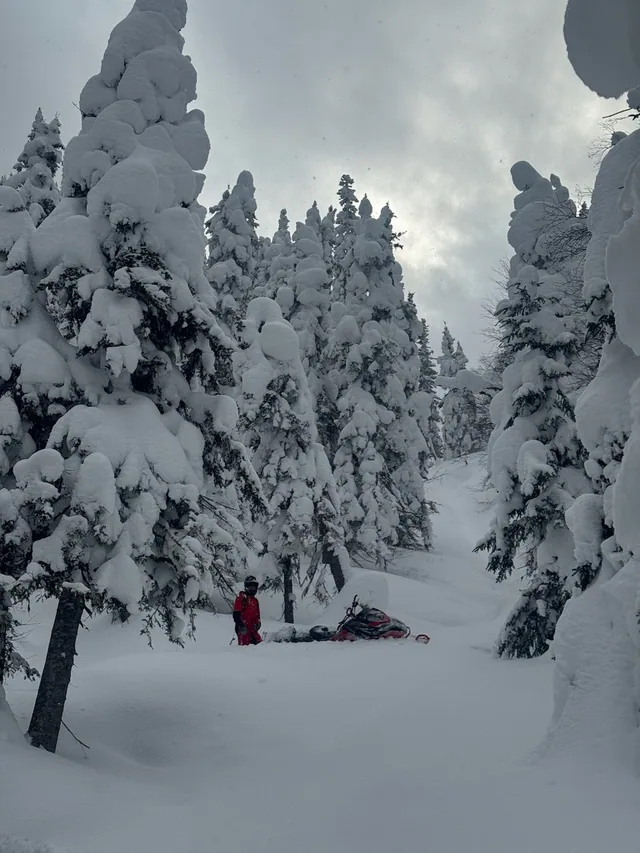 Riding powder in Marsoui, Gaspésie